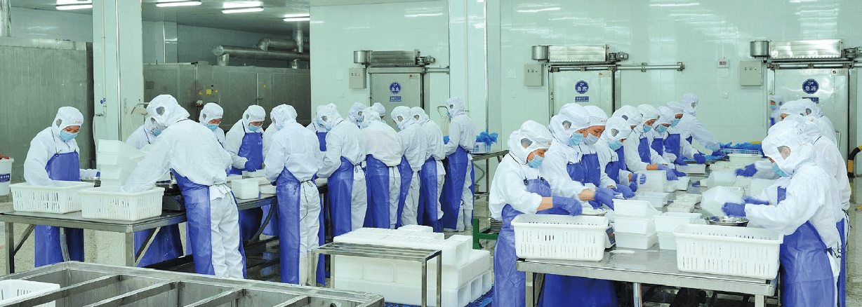 Our Factory